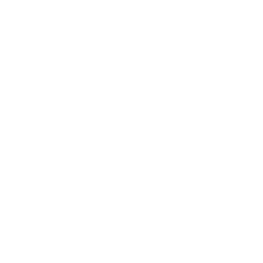 audit services